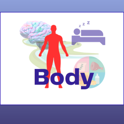 _large body